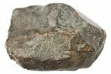 Cut Chondrite Meteorite ( g) - Unclassified NWA #265882-2